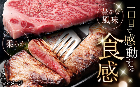 長崎和牛 サーロイン ステーキ 計800g ＜大西海ファーム食肉加工センター＞ CEK192 ステーキ
