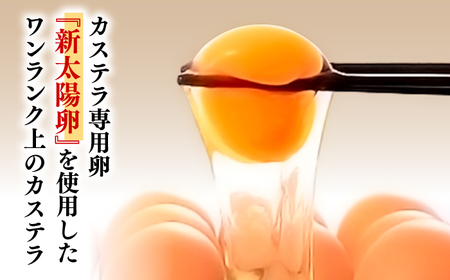 和三盆カステラ 2本 CGO001 カステラ