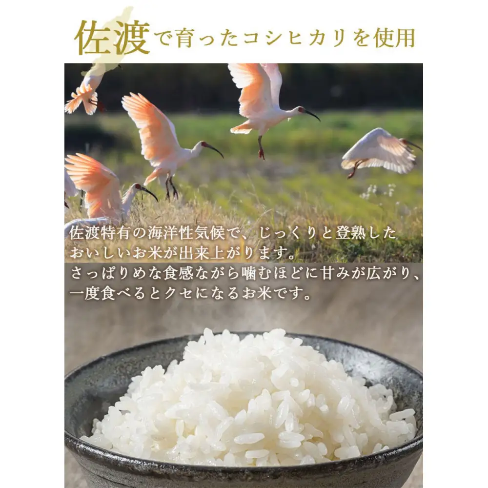 【パックごはん】佐渡こしひかり150g×24個