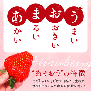 フルーツソムリエが選んだ福岡産【春】あまおう4パック【011-0090】