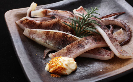 甲イカ一夜干し 5枚 [BGAW001] いか 干物