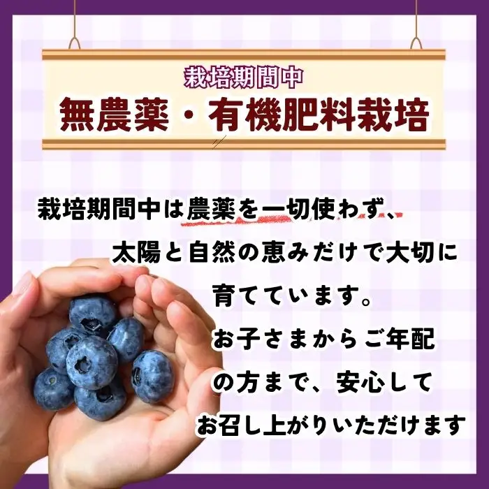 ブルーベリー １kg 【冷凍】【2026年7月より発送 先行予約】Br-003