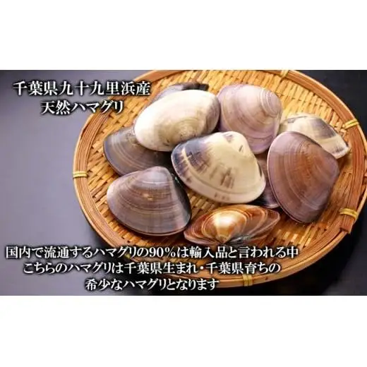 C04-E01 千葉県産ボイルハマグリ 6kg（小~中サイズ）
