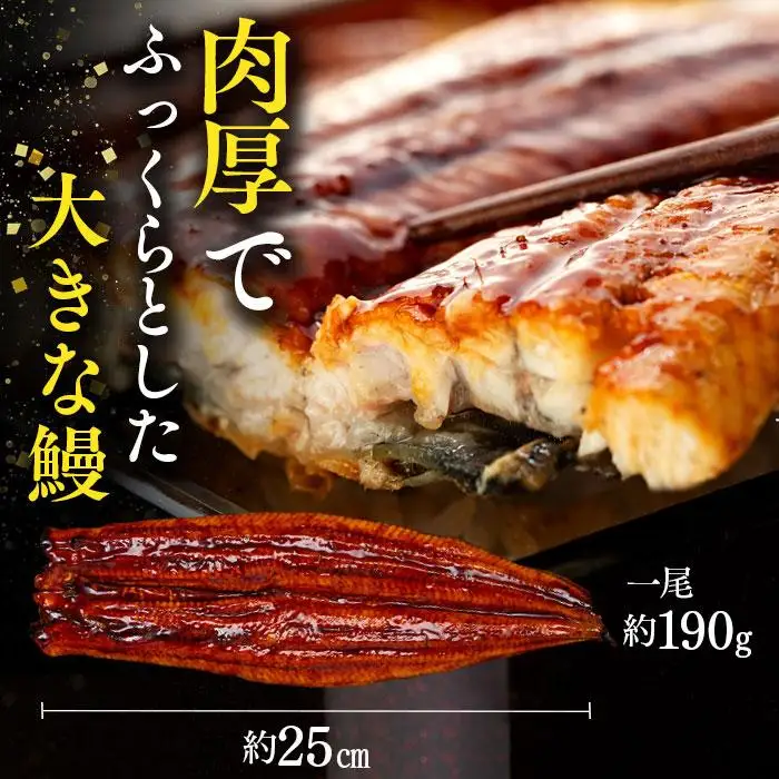 C01-J25 特大うなぎ長蒲焼 570g