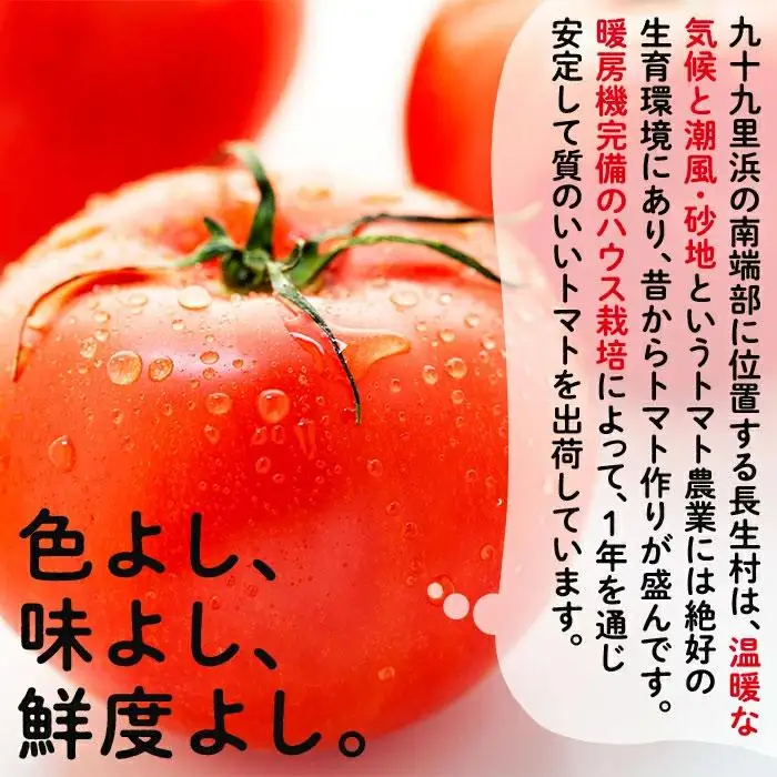 E01-001 ながいきトマト 4kg