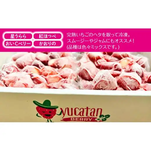 AA1-003 長生村産冷凍いちご1kg【2025年3月以降発送】