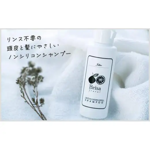 L01-010 ブリッサフルータル ノンシリコンシャンプー（100mL×2本）