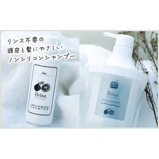 L02-011 ブリッサフルータル ノンシリコンシャンプー（500mL×1本、100mL×1本）