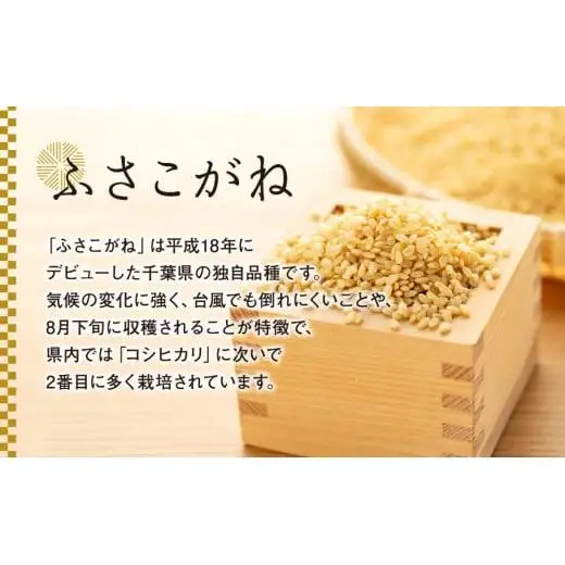 H04-B01 ふさこがね（玄米30kg）令和8年産