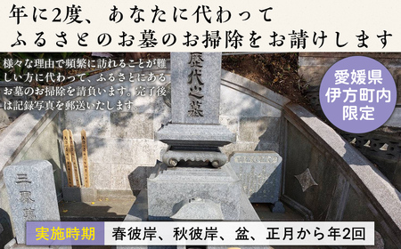 お墓の掃除代行サービス 年2回コース  IKTAA002 