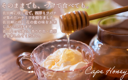蜂蜜3セット】みかん農園のはちみつ（もち蜂蜜・百花蜜・みかん蜜