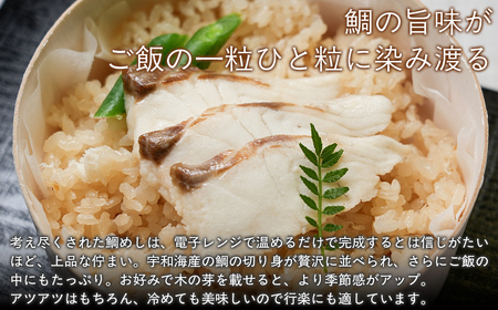 鯛めしセット（4個入り） 【 ふるさと納税 人気 おすすめ ランキング 鯛 鯛めし 海鮮 魚介 魚 冷凍 宇和海産 セット 詰合せ 愛媛県 伊方町 送料無料 】 IKTN003
