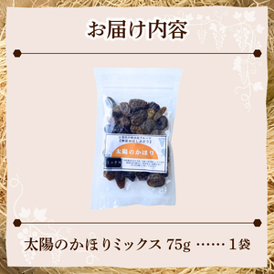 ぶどうの産地勝沼で大人気！みはらしの千果園の干しぶどう1袋（MG）A02-360