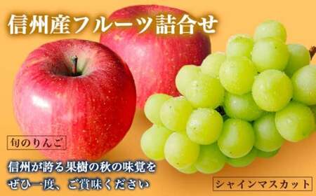 先行受付 シャインマスカット1房とりんご2玉 約1.3kg　詰め合わせ ［小布施屋］令和8年産 【2026年9月下旬頃～11月上旬頃まで順次発送】 ［A-307］
