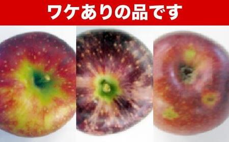 【訳あり】 秋映 約3kg 6～12玉 ［おぶせファーマーズ］ 不揃い 規格外 家庭用 果物 フルーツ りんご 林檎 リンゴ 長野県産 信州産 令和8年産 【2026年9月下旬～10月中旬発送】  ［FH-52］