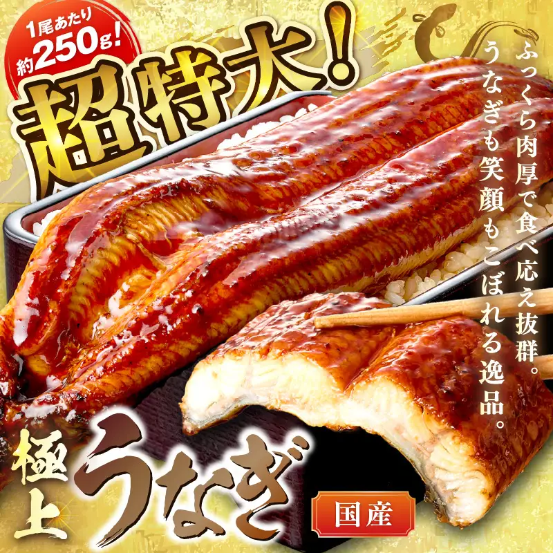【7月24～26日配送】超特大！極上！国産うなぎ蒲焼 1尾 250g前後 ふるさと納税 鰻 九州産 国産 ウナギ 有頭 蒲焼き うな丼 うな重 うなぎ 国産