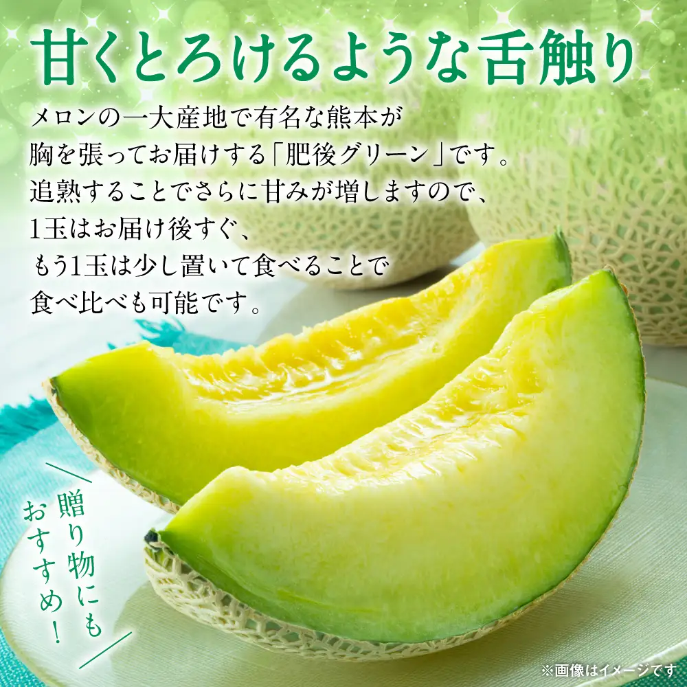 【先行予約】 八代市産 肥後グリーン 1玉 （約1.3kg以上） 熊本 メロン 果物 くだもの フルーツ 青肉メロン 青肉 【2026年6月中旬より順次発送】