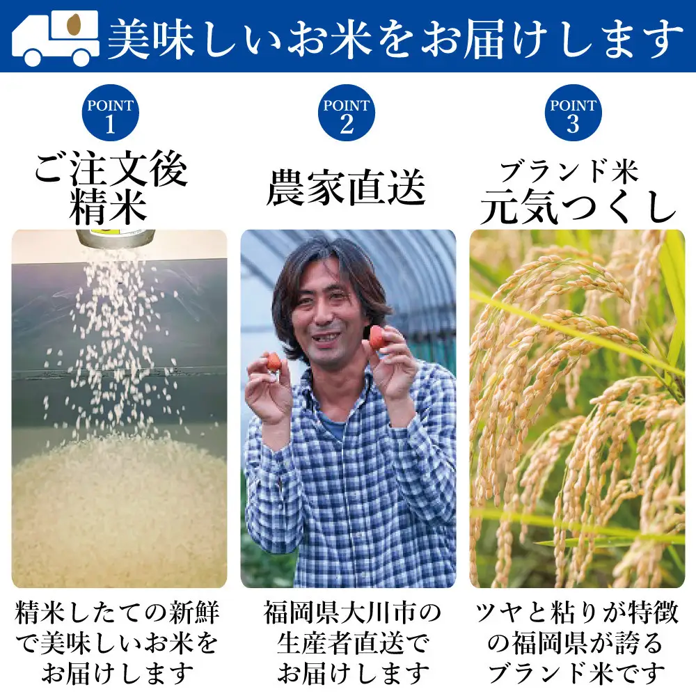 《令和7年産》福岡県大川市産 ブランド 米「 元気つくし 」 5kg | お米 米 こめ 精米 白米 ライス ブランド米 ごはん ご飯