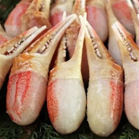 【約500g】本ずわいがに 爪肉 加熱用  〈殻剥き不要〉【配送不可地域：離島】【1570470】