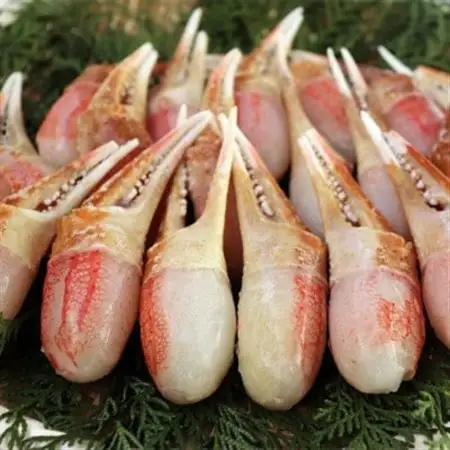 【約1kg】本ずわいがに 爪肉 加熱用  〈殻剥き不要〉【配送不可地域：離島】【1570475】