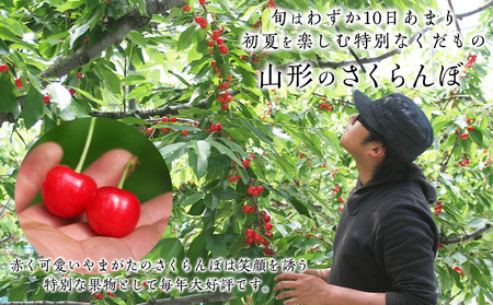 【ギフト箱】本場 山形産 さくらんぼ 紅秀峰 500g 【令和8年産先行予約】 FS25-586 くだもの 果物 フルーツ 山形 山形県 山形市 2026年産