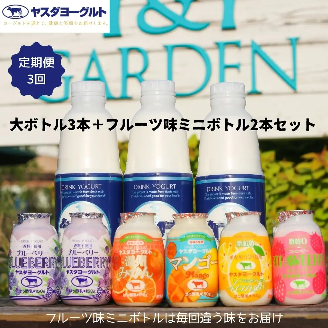 【3ヶ月定期便】ヤスダヨーグルト ちょい足しフルーツセレクションセットお試し便 大ボトル800g×3本＋小ボトル150g2本  無添加 搾りたて こだわり生乳 濃厚 飲むヨーグルト のむよーぐると ヨーグルト 1B86019
