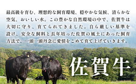 佐賀牛赤身モモ焼肉用 1kg（500g×2p）