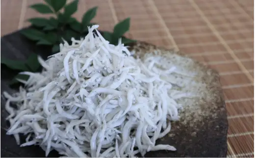 詰め合わせ２色「潮彩A」siosai（釜あげしらす240g×2） / 釜揚げしらす シラス 由良町 海産 産地直送 お取り寄せ 小分け ギフト 贈答 和歌山【dig248-sioa-2】