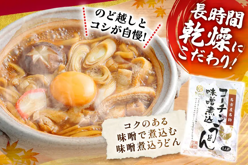 コーチン手折りみそ煮込うどん 10食 [なごやきしめん亭 愛知県 江南市 ko23btu220007]