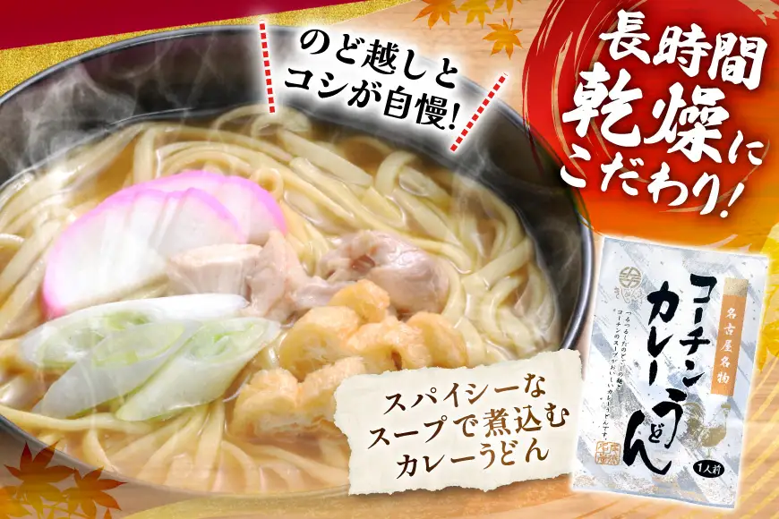 コーチン手折りカレーうどん 10食 [なごやきしめん亭 愛知県 江南市 ko23btu220005]