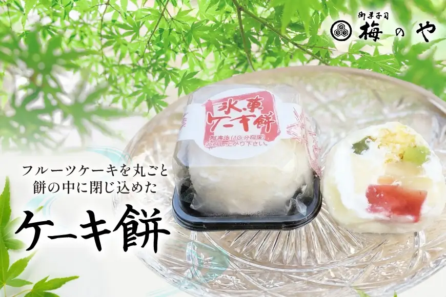 ケーキ餅 10個 [御菓子所 梅のや 愛知県 江南市 ko23btu310008]