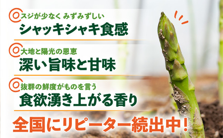 ロマンス農園 ろまんスティック 2Lサイズ 1kg T049-005 野菜