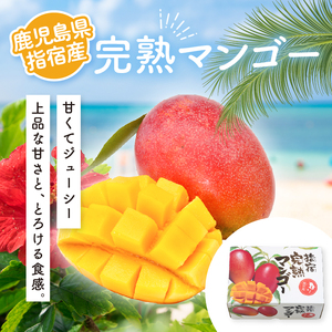 【2026年 発送】完熟 マンゴー 2玉 約1kg 花立山農業研究所 IB135-001 マンゴー フルーツ 果物