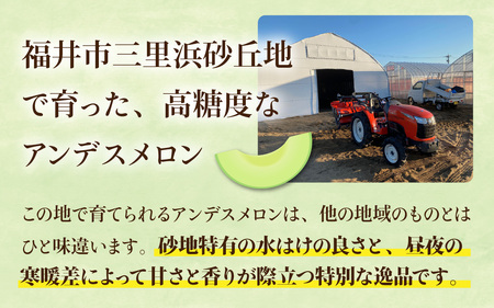 【先行予約】【訳あり】立体栽培の甘味凝縮アンデスメロン [A-180001] 【2026年6月下旬発送予定】【福井市三里浜砂丘地産】2L～５Lサイズ　2～3玉入り　約3Kg以上 / メロン アンデス めろん フルーツ 果肉 スイーツ 旬 福井 ふくい