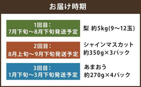 【年3回定期便】数量限定！ 旬のフルーツ 定期便【 梨 ・ シャインマスカット ・ あまおう 】 【2026年7月下旬頃から順次発送予定】
