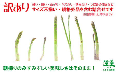 ＼夏アスパラ 先行予約受付中／《訳あり》北海道江差町産 アスパラガス 1kg【サイズ不揃い・規格外MIX】　見た目は良くなくても鮮度や味は正規品と変わりません！　朝採り　農家直送　新鮮　鮮度保持　北海道　旬野菜　グリーンアスパラ　アスパラ　ご自宅用　無選別・規格外・ハネ物・B品