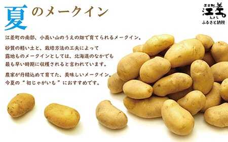【早期予約：2026年7月頃～順次出荷予定】砂質土育ち「夏」メークイン M・L混合5kg　露地もの　手掘り　江差産メークイン　北海道のじゃがいも　芋の塩煮　肉じゃが　カレー　シチュー　コロッケ　色々なお料理に　北海道産