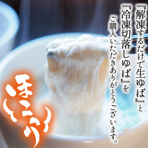 【定期3回】湯葉（生湯葉・切落し）生湯葉130g×2、切落し300g×1 | 定期便 3回 湯葉 生湯葉 イソフラボン 美と健康のサポート 植物性タンパク質 低カロリー 栃木県 那珂川町 