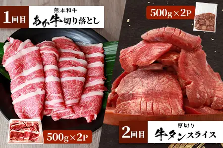 【定期便6回】 1kg×6回！ くまもと ビーフ 満喫 お楽しみ定期便【合計6.2kg】 熊本 あか牛 / 牛タン / 黒毛和牛 モモステーキ /あか牛 スジ / ハラミ / 黒毛和牛 ハンバーグ 092-0021