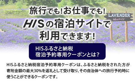 HISふるさと納税宿泊予約専用クーポン（北海道富良野市）30,000円分