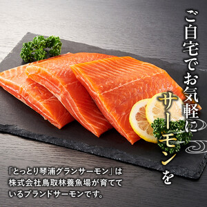 【数量限定】スモークサーモン とっとり 琴浦 グランサーモン 1kg（3～10パック）