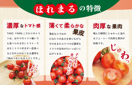明和町産 完熟 トマト ほれまる 500g と パウンドケーキ の セット 絶品 美味しい 野菜の甘み ミニトマト 朝採り 新鮮 生鮮 野菜 あっさり お菓子 洋菓子 おやつ スイーツ おすすめ