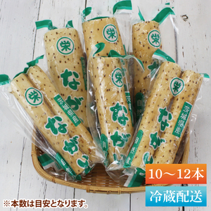 【2025年12月より順次発送】風間商店さんのながいも 約5kg(10～12本)｜ながいも いも 芋 長芋 野菜 やさい 人気 美容 健康 腸活 味噌汁 天ぷら 茨城県 行方市 行方市産(HO-2)