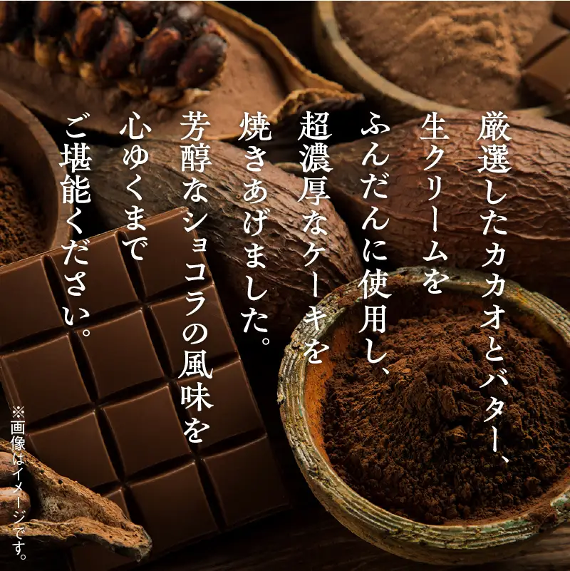 濃厚ショコラケーキ 18個セット【飯田川つくし苑】