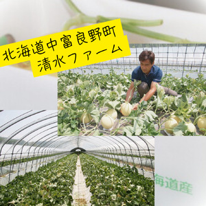 【2026年発送】中富良野産赤肉メロン2玉　計3.2kg【BQ-005】