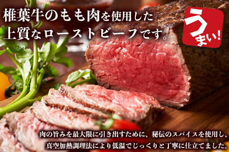 牛肉 【定期便】6回定期便 宮崎県産 大人気！椎葉牛 ローストビーフブロック 200g（100g×2P）×6回 計1.2kg ローストビーフ 牛肉 牛肉 定期便 TK-106