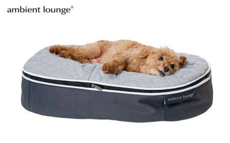ペットラウンジ 日本製 洗える 撥水 低反発クッション 犬猫ベッド 取り外しカバー（Sサイズ／グレー／キルトグレー／ロータイプ／エリート）【アンビエントラウンジジャパン】 F7Z-1413
