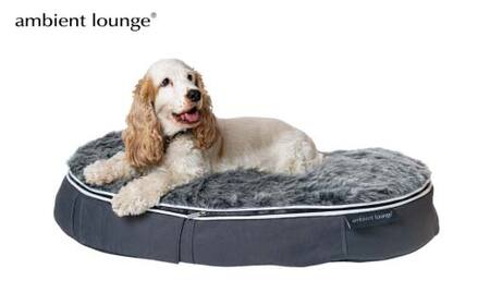 ペットラウンジ 日本製 洗える 撥水 低反発クッション 犬猫ベッド 取り外しカバー（Mサイズ／グレー／ウルフグレー／ロータイプ／エリート）【アンビエントラウンジジャパン】 F7Z-1416