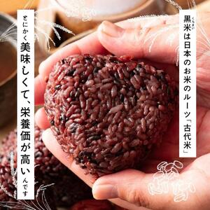 国産黒米 2.4kg(400g×6袋)