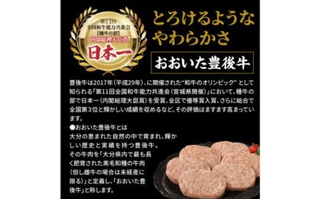 豊後牛と桜王豚のＷハンバーグ2kgセット_1485R